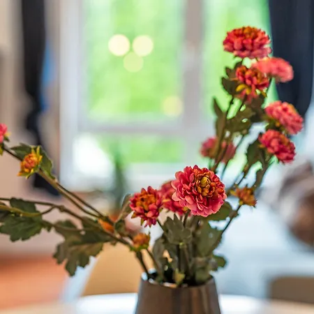 Apartment Am Friedrichshafen